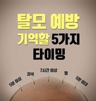 겨울철 탈모 관리 똑똑히 알고 챙기자