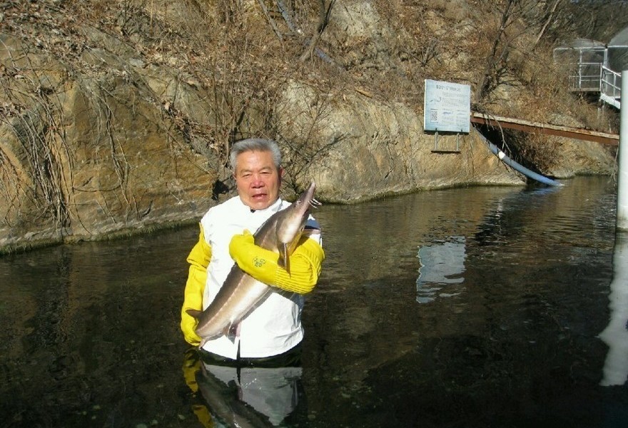 가공과정