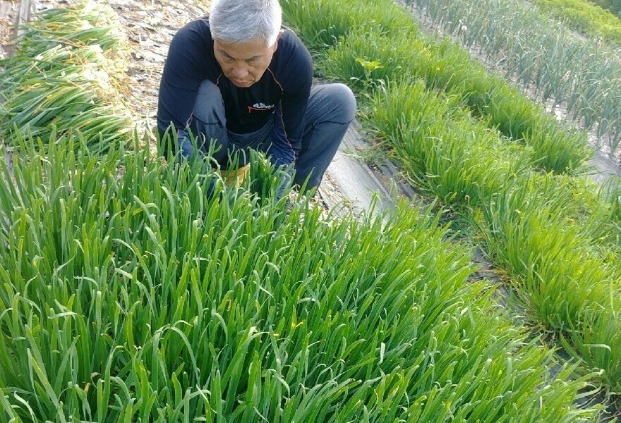 가공과정